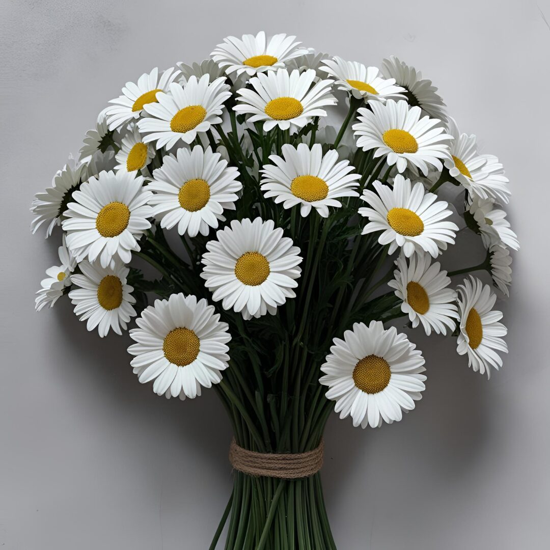 daisy bundle – demo site for Your Garden Bestie